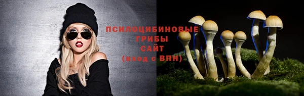 герыч Пересвет