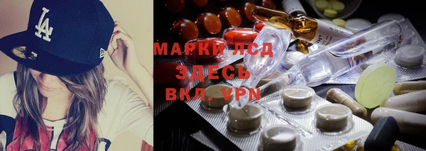 герыч Пересвет